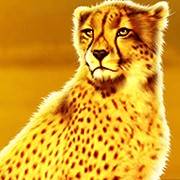 Rumble Rhino Megaways: Leopard