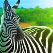 Rumble Rhino Megaways: Zebra