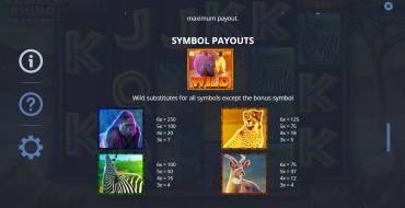 Rumble Rhino Megaways: Payout table