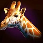 Rumble Rhino: Giraffe