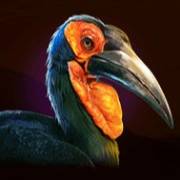 Rumble Rhino: Bird