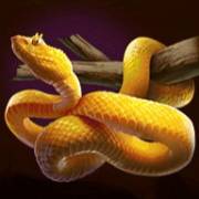 Rumble Rhino: Snake