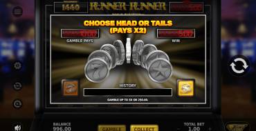Runner Runner Megaways: Risk game