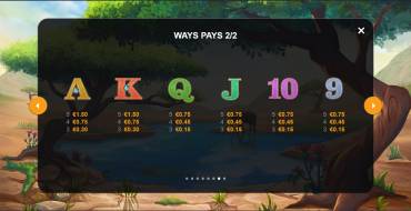 Safari Chase: Payout table