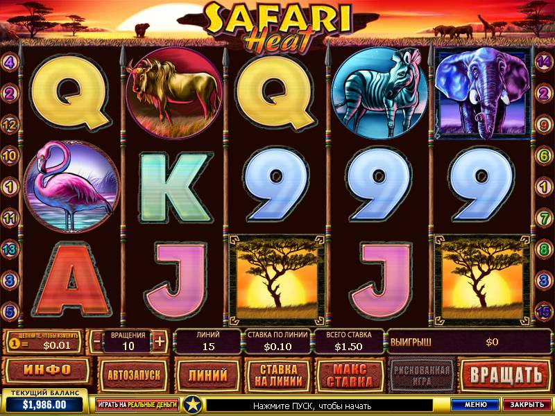 Safari Heat slot