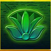 Scarab Boost: Flower