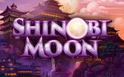 Shinobi Moon (Realistic Games)