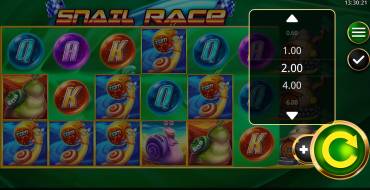 Snail Race: Bets