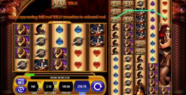Spartacus Gladiator of Rome: Winnings