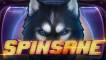 Spinsane