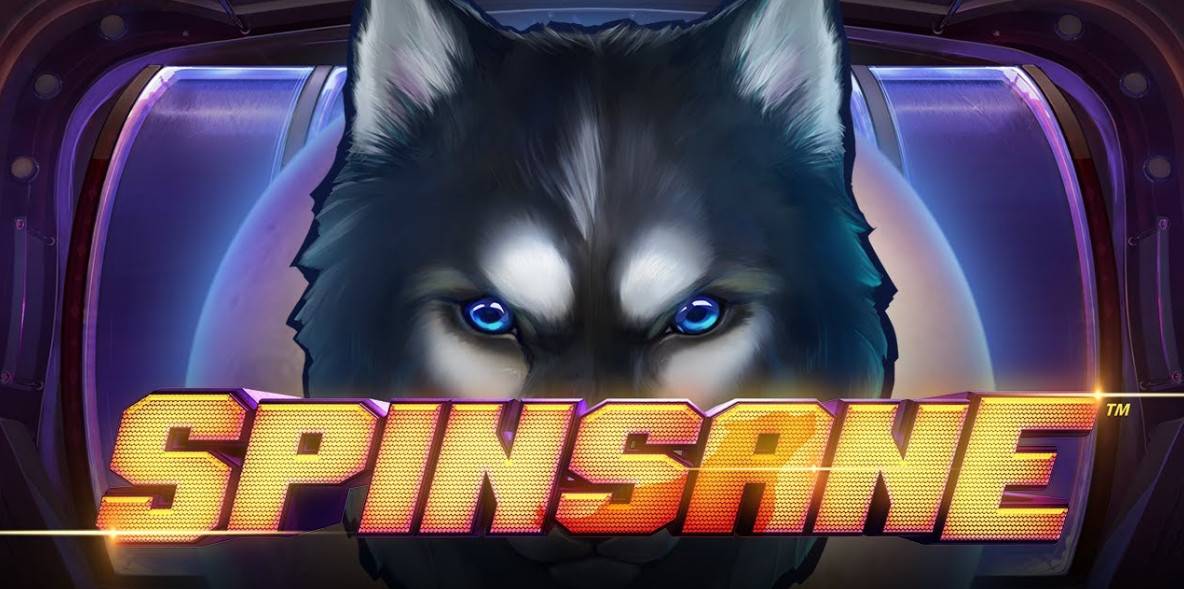 Spinsane slot