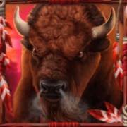 Spirit of the Beast: buffalo