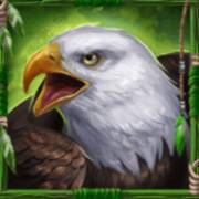Spirit of the Beast: Hawk