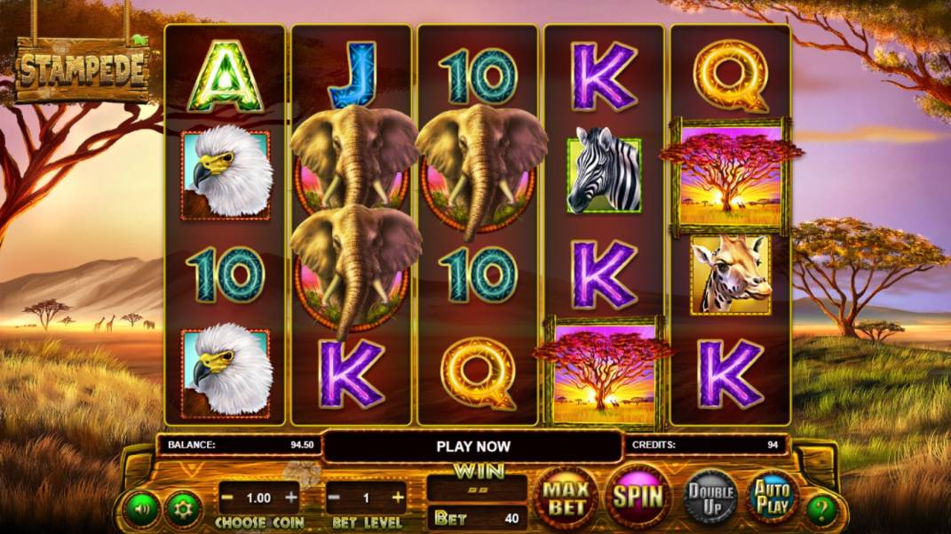 Stampede slot