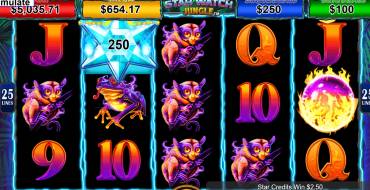 Star Watch Jungle: Winnings