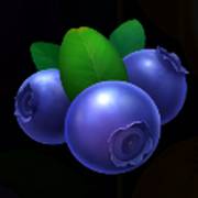 Stunning Crown 100: Blueberries