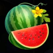 Stunning Crown Cash Mesh Ultra: Watermelon