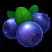 Stunning Crown Cash Mesh Ultra: Blueberries