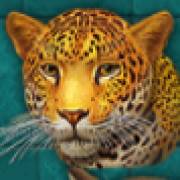 Super Cats: Leopard