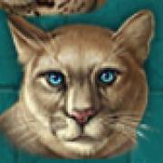 Super Cats: Puma