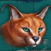 Super Cats: Lynx