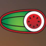 Super Wild Megaways: Watermelon