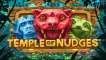 Temple of Nudges