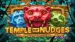 Temple of Nudges