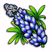 Texas Tea: Flower