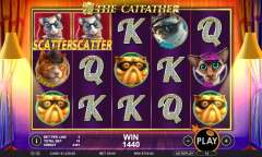 Play The Catfather