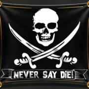 The Goonies: Hey You Guys!: Flag