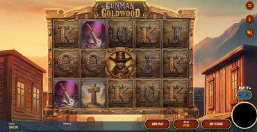 The Gunman of Goldwood: Interface
