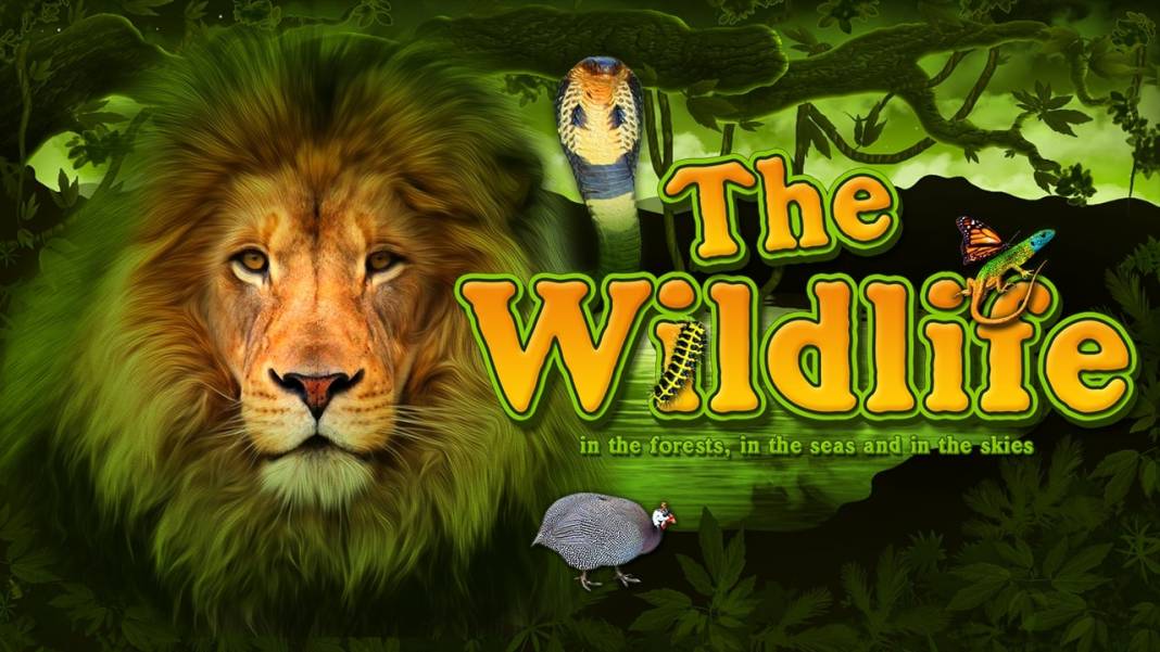 The Wildlife slot