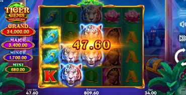 Tiger Gems: Hold and Win: Winnings