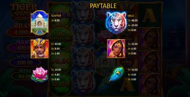 Tiger Gems: Hold and Win: Payout table