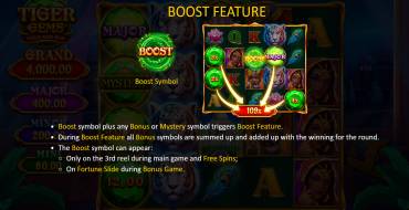 Tiger Gems: Hold and Win: Bonus games