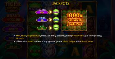 Tiger Gems: Hold and Win: Jackpot
