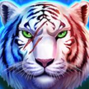 Tiger Gems: Hold and Win: Wild
