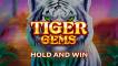 Tiger Gems: Hold and Win