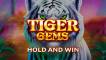 Tiger Gems: Hold and Win