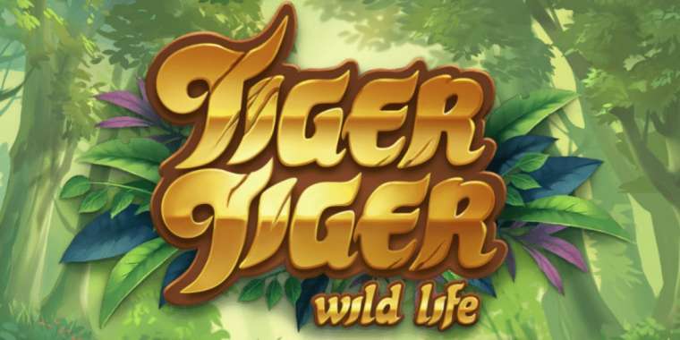 Play Tiger Tiger slot