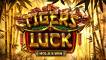 Tiger's Luck Hold&Win