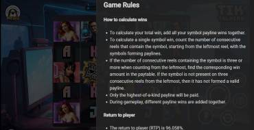 Tik Talkers: Rules