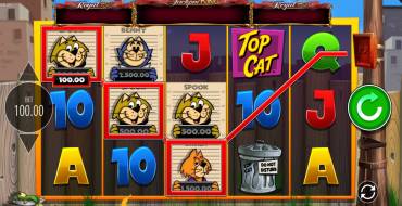 Top Cat Most Wanted Jackpot King: Winnings