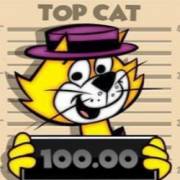 Top Cat Most Wanted Jackpot King: Cat 5