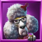 Top Dawgs: Poodle