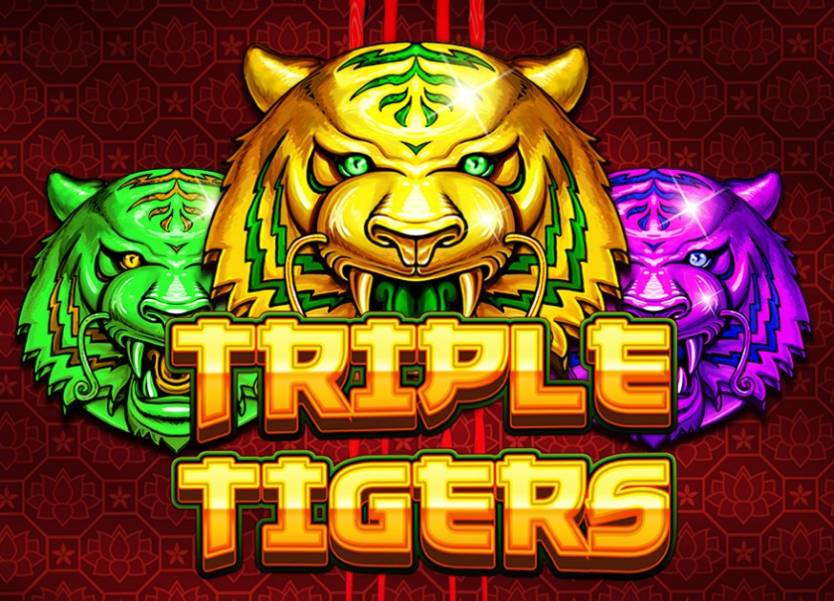 Triple Tigers slot