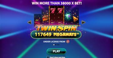 Twin Spin Megaways: Slot machine