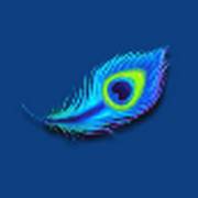 Ultra Blazing Fire Link: Feather
