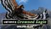 Untamed Crowned Eagle